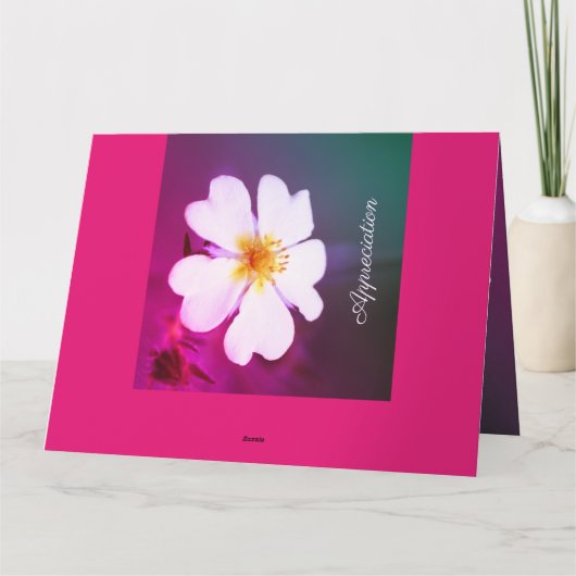 Verpleegkundigen zijn essentieel kaart (Achterkant)