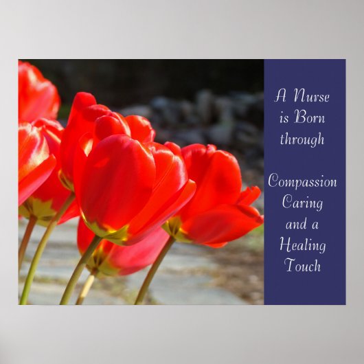 Verpleegkundigen zijn geboren in de kunstklaring C Poster (Voorkant)