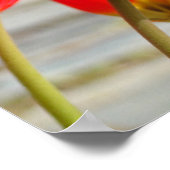 Verpleegkundigen zijn geboren in de kunstklaring C Poster (Hoek)