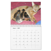 Verpleegmoeders Dier Kalender (Mar 2027)