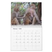 Verpleegmoeders Dier Kalender (Feb 2026)