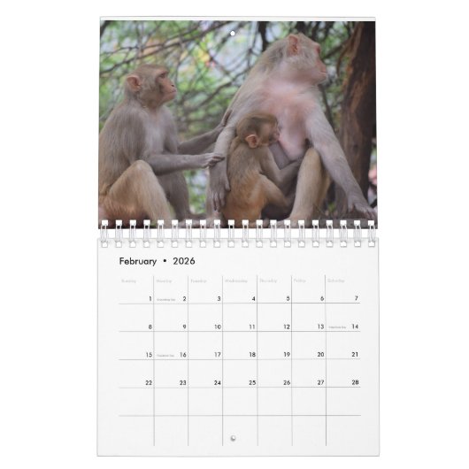 Verpleegmoeders Dier Kalender (Feb 2026)