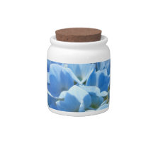 Verpleegsters Candy Jar Blauwe Hortensia Bloemen V