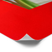 Verpleegsters kunstprints Rode Tulpen Ik ben een v Poster (Hoek)