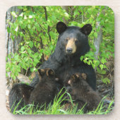 Verpleegzwart Beer en dubbele kubussen Bier Onderzetter (Voorkant)