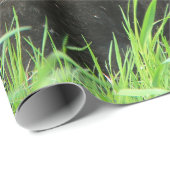 Verpleegzwart Beer en dubbele kubussen Cadeaupapier (Rol Hoek)