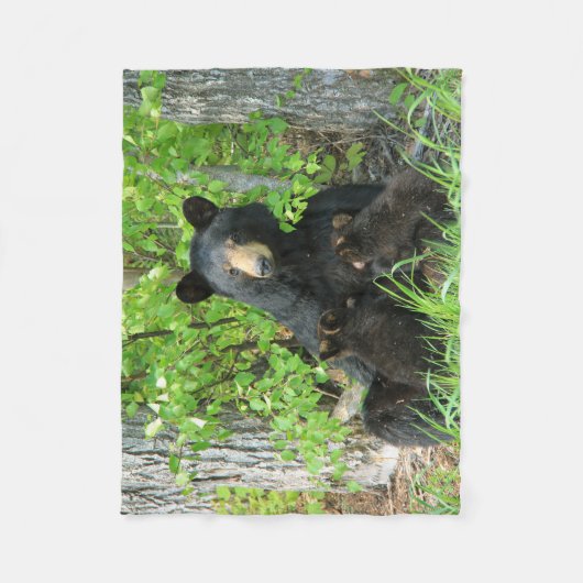 Verpleegzwart Beer en dubbele kubussen Fleece Deken (Voorkant)