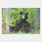 Verpleegzwart Beer en dubbele kubussen Inpakpapier Vel (Voorkant 2)