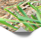 Verpleegzwart Beer en dubbele kubussen Poster (Hoek)