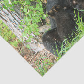 Verpleegzwart Beer en dubbele kubussen Tissuepapier (Detail)