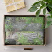 Verpleegzwart Beer en dubbele kubussen Tissuepapier (Geschenk)