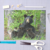 Verpleegzwart Beer en dubbele kubussen Tissuepapier (Craft)