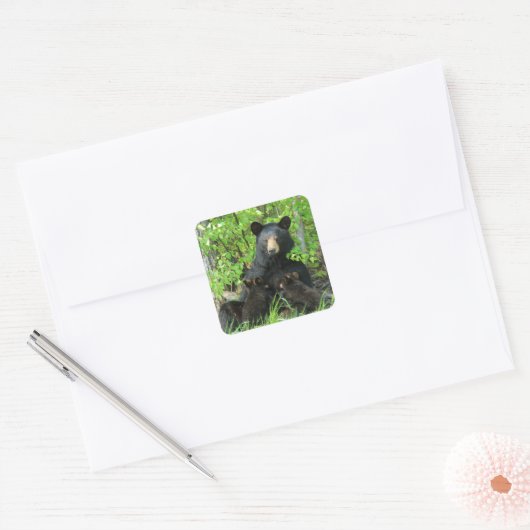 Verpleegzwart Beer en dubbele kubussen Vierkante Sticker (Envelop)