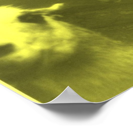 Verpletterd "Um 4 Color Llama Poster (Hoek)