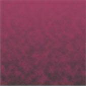 Verpletterde bloem sticker (Voorkant)