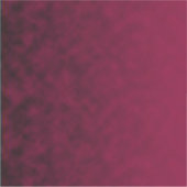 Verpletterde bloem sticker (Voorkant)