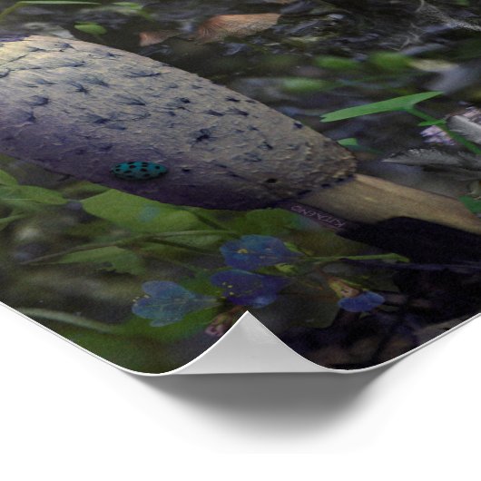 VERPLICHTING VAN DE SCHIJNEN POSTER (Hoek)