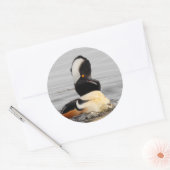 Verrafte, gekookte Merganser Duck bij de Pond Ronde Sticker (Envelop)