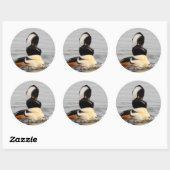 Verrafte, gekookte Merganser Duck bij de Pond Ronde Sticker (Vel)