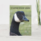 Verrassde Canada Goose Photo Birthday Kaart (Voorkant)