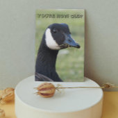 Verrassde Canada Goose Photo Birthday Kaart