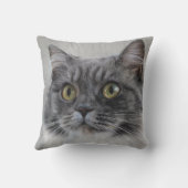 Verrassde grijze kat, een typisch ras kussen (Achterkant)