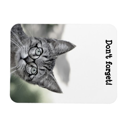 Verrassde kat met bril Magnet Magneet (Horizontaal)