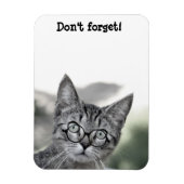 Verrassde kat met bril Magnet Magneet (Verticaal)