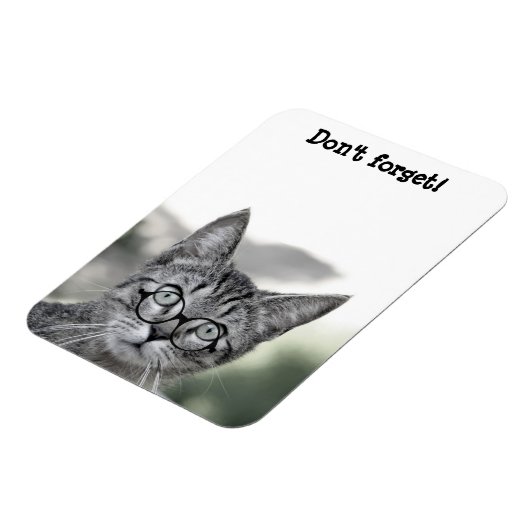 Verrassde kat met bril Magnet Magneet (Linkerzijde)