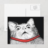 Verrassde kattenbonte thema - Briefkaart (Voorkant / Achterkant)