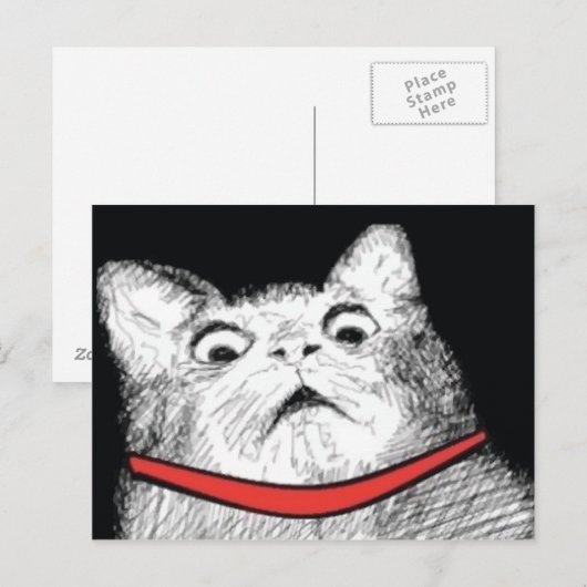 Verrassde kattenbonte thema - Briefkaart (Voorkant / Achterkant)