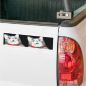 Verrassde kattenbonte thema - Bumpersticker (Op Truck)