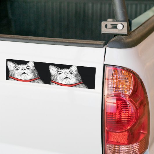 Verrassde kattenbonte thema - Bumpersticker (Op Truck)
