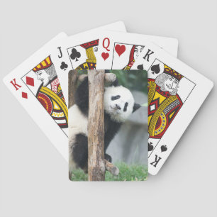 Verrassde Panda Cub-speelkaarten Pokerkaarten
