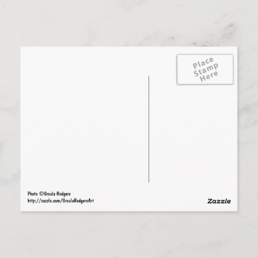 Verrassde postbus briefkaart (Achterkant)