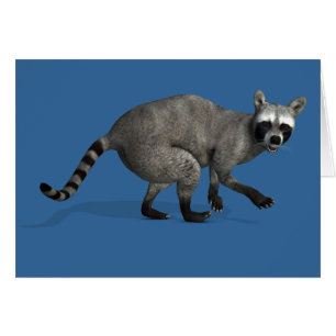 Verrassde Raccoon