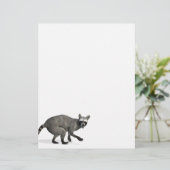 Verrassde Raccoon (Staand voorkant)