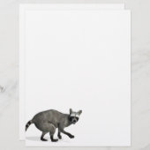 Verrassde Raccoon (Voorkant / Achterkant)