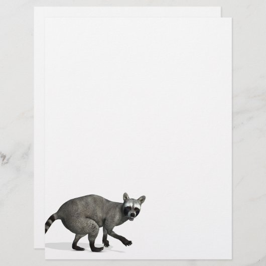 Verrassde Raccoon (Voorkant / Achterkant)