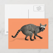 Verrassde Raccoon Briefkaart (Voorkant / Achterkant)