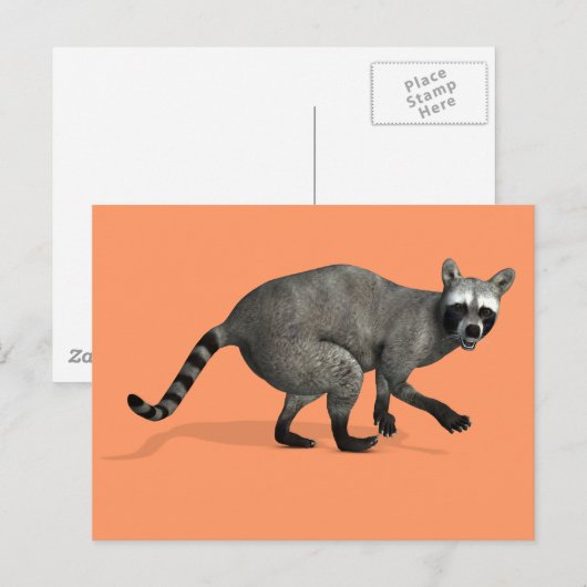 Verrassde Raccoon Briefkaart (Voorkant / Achterkant)