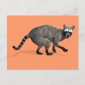 Verrassde Raccoon Briefkaart (Voorkant)