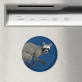 Verrassde Raccoon Magneet (Insitu (Vaatwasser))