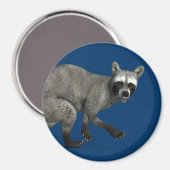 Verrassde Raccoon Magneet (Voorkant / Achterkant)