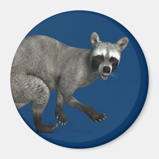 Verrassde Raccoon Magneet (Voorkant)