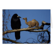 Verrassde rij (Voorkant Horizontaal)