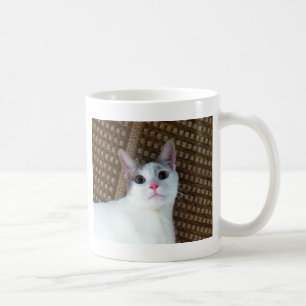 Verrassde witte kat koffiemok
