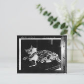 Verrassend vriendschap - Cat Minnie en Mike Mouse Briefkaart (Staand voorkant)