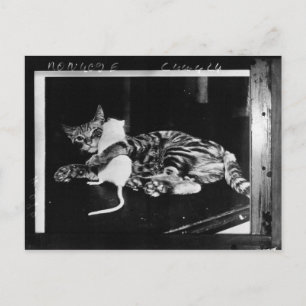 Verrassend vriendschap - Cat Minnie en Mike Mouse Briefkaart