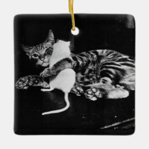 Verrassend vriendschap - Cat Minnie en Mike Mouse Keramisch Ornament